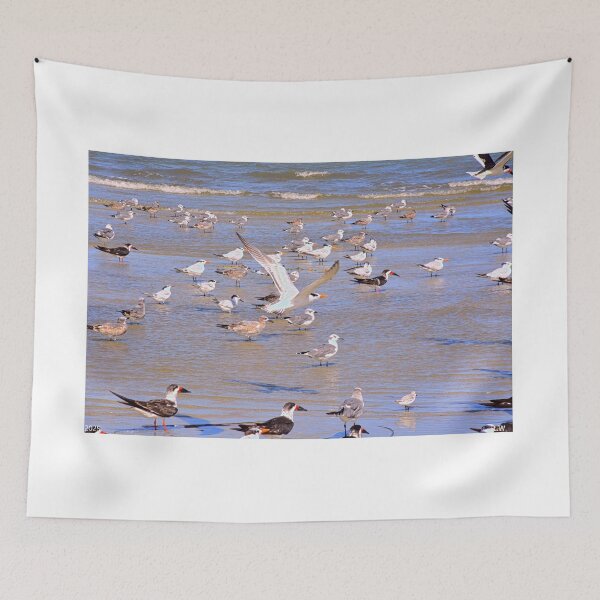 Item preview, Seabirds Flocking on a Hilton Head Beach designed and sold by LisaWootenPhoto.