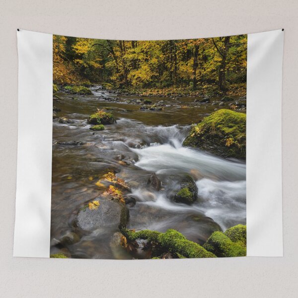 Item preview, Roots of Autumn designed and sold by DawsonImages.