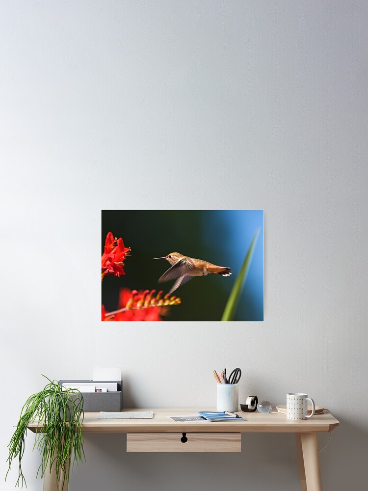 Thumbnail 2 of 3, Poster, Forward Flight designed and sold by Buzzimage.