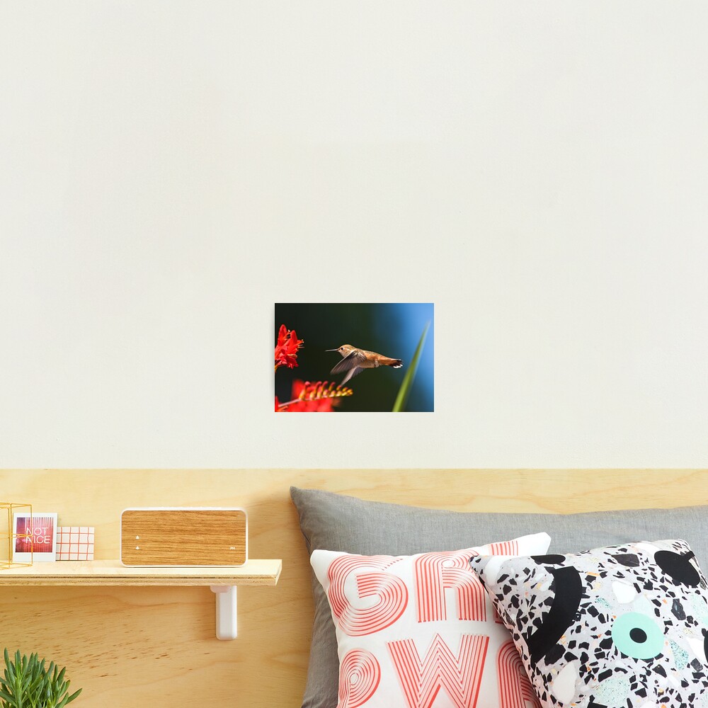 Item preview, Photographic Print designed and sold by Buzzimage.