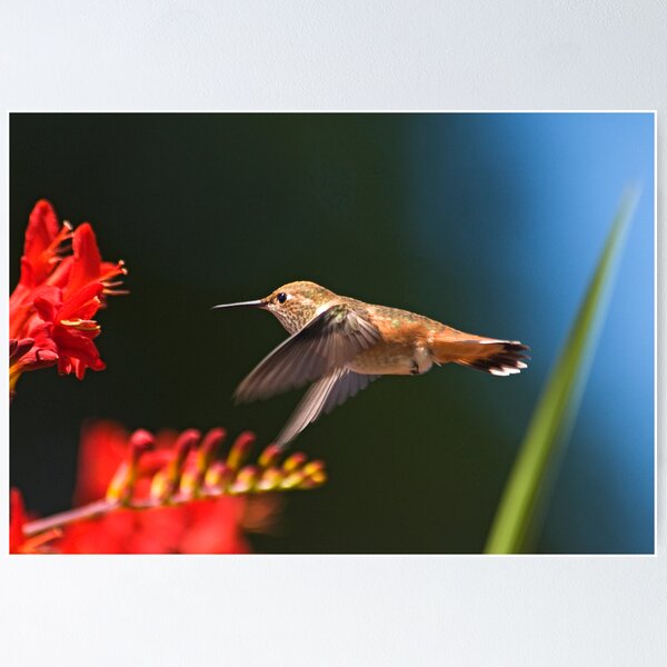 Item preview, Forward Flight designed and sold by Buzzimage.