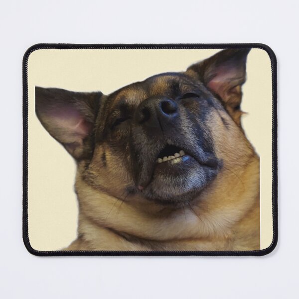 Item preview, Nala the Love Bug — Doofy Grin and Belly-Up Bliss designed and sold by tracerammo1.
