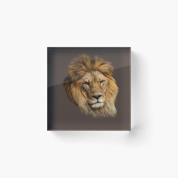 Item preview, Majestic Lion Portrait – King of the Jungle Wildlife designed and sold by Afridi Art House.