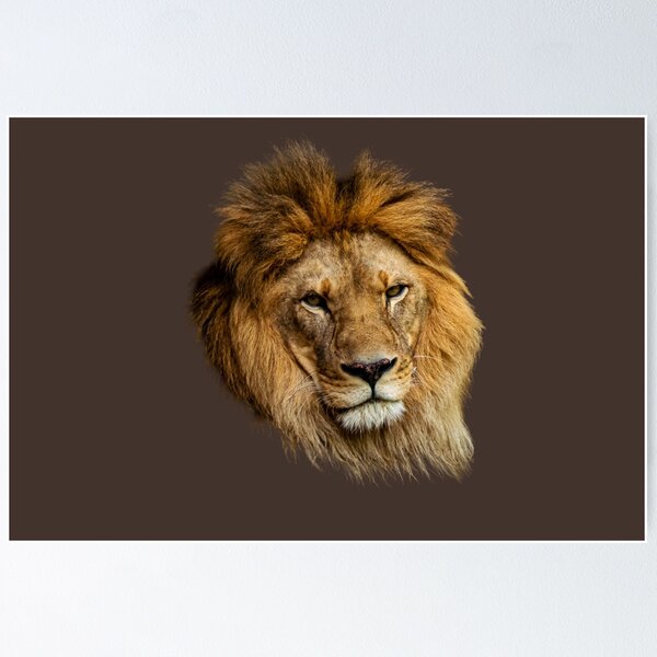 Item preview, Majestic Lion Portrait – King of the Jungle Wildlife designed and sold by Afridi Art House.