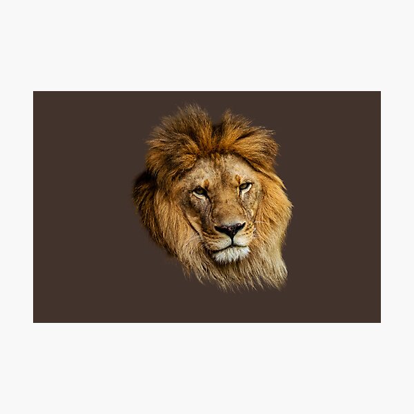 Item preview, Majestic Lion Portrait – King of the Jungle Wildlife designed and sold by Afridi Art House.