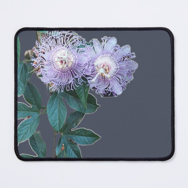Item preview, Passion Flower Pair — Purple & White Blooms with Green Vines designed and sold by tracerammo1.