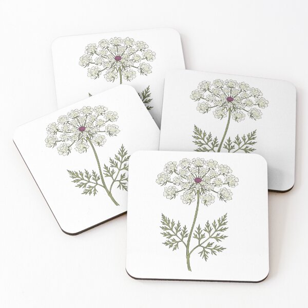 Item preview, Queen Anne's Lace | Delicate White Wildflower Botanical designed and sold by FloriahStudio.