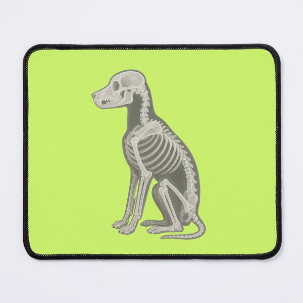 Item preview, Seated Dog Skeleton designed and sold by TheWonkyEaselCo.