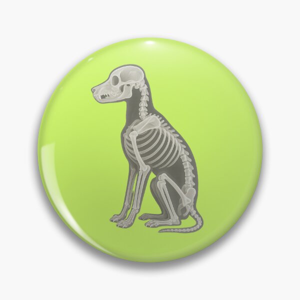 Item preview, Seated Dog Skeleton designed and sold by TheWonkyEaselCo.