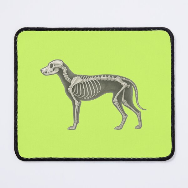 Item preview, "Dog Skeleton Side View " designed and sold by TheWonkyEaselCo.