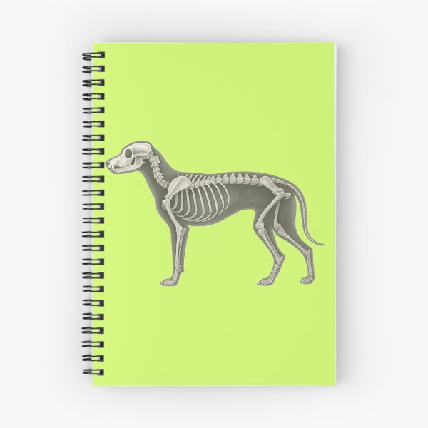 Item preview, "Dog Skeleton Side View " designed and sold by TheWonkyEaselCo.