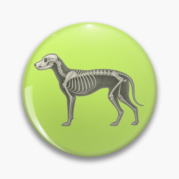 Item preview, "Dog Skeleton Side View " designed and sold by TheWonkyEaselCo.
