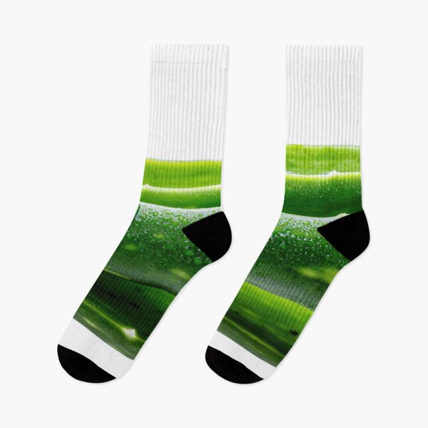 Item preview, Close-up of aloe vera leaves designed and sold by anytka.