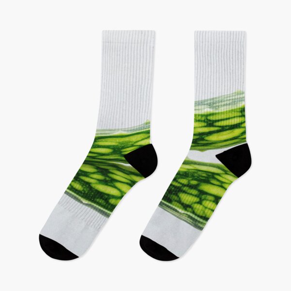 Item preview, Bright green aloe vera plant leaves designed and sold by anytka.