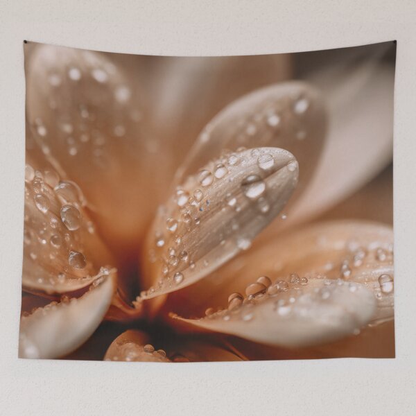 Item preview, Close up view of a flower with drops designed and sold by anytka.
