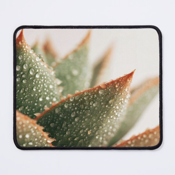Item preview, Succulent plant with droplets designed and sold by anytka.