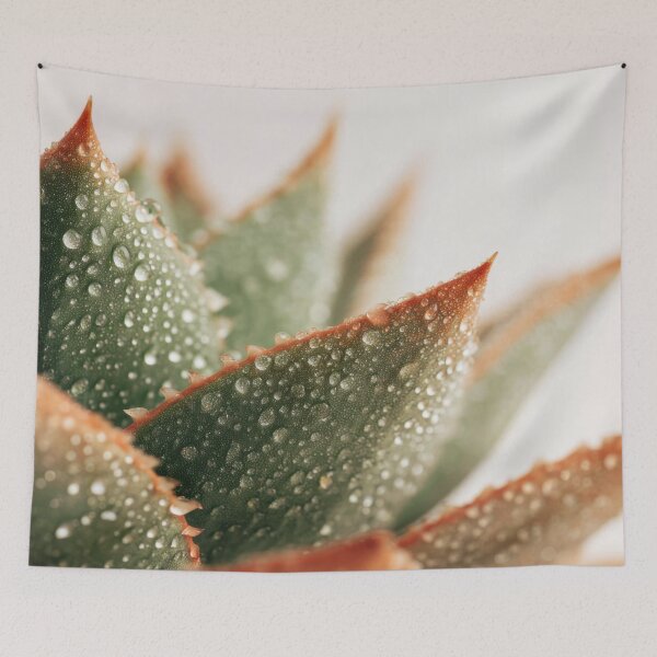 Item preview, Succulent plant with droplets designed and sold by anytka.