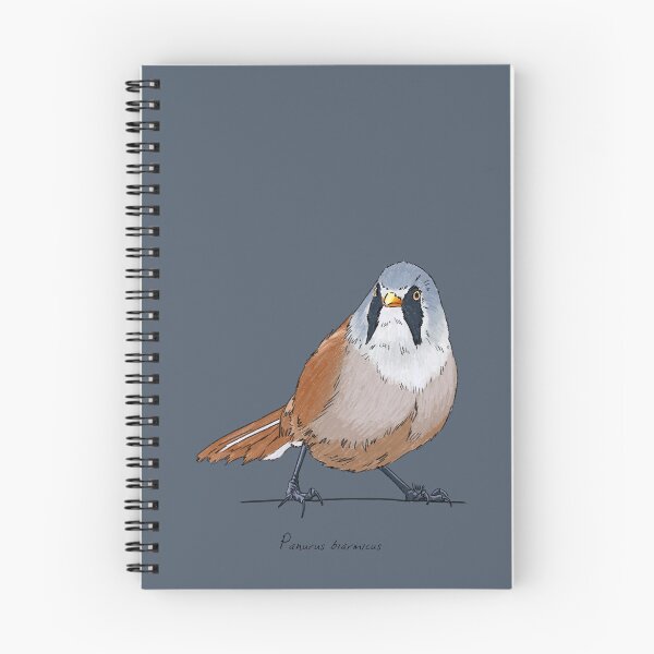 Item preview, Bearded Reedling designed and sold by Luzeilustración.