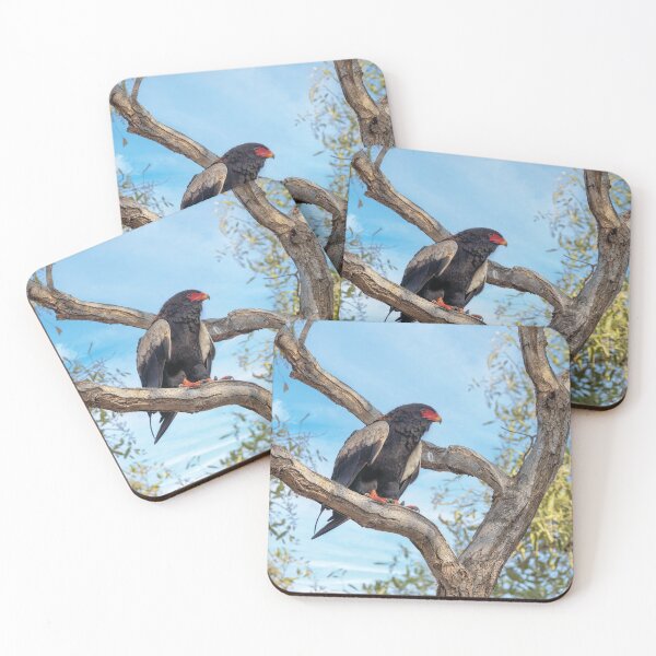 Item preview, Bateleur Eagle designed and sold by Kay Brewer.