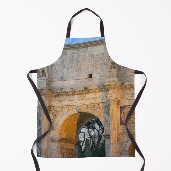 Item preview, Arch of Constantine 2 Rome Italy designed and sold by PhotoArt by Joan Carroll.