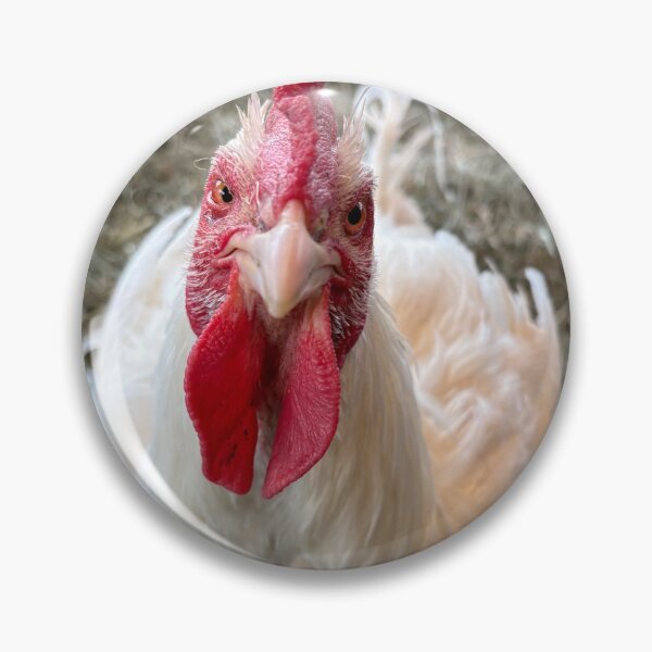 Item preview, Concerned chicken designed and sold by Fox in the Willows.