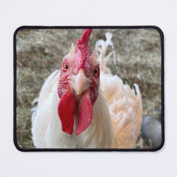 Item preview, Concerned chicken designed and sold by Fox in the Willows.