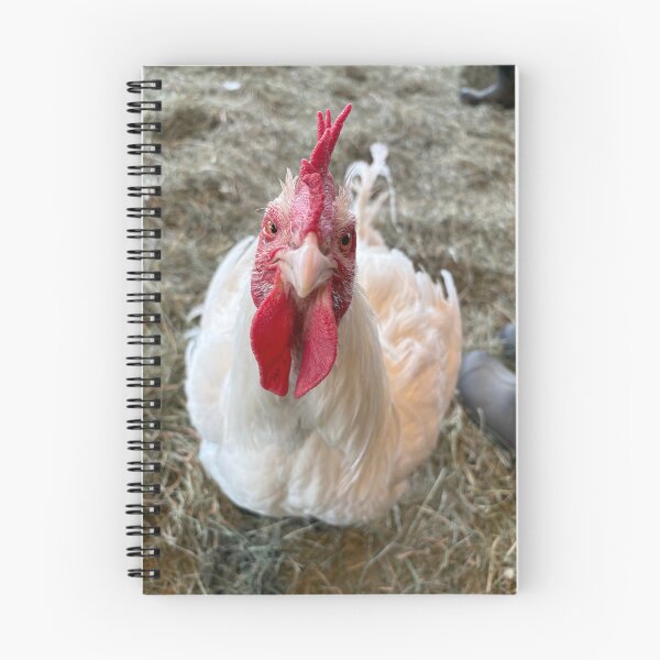 Item preview, Concerned chicken designed and sold by Fox in the Willows.