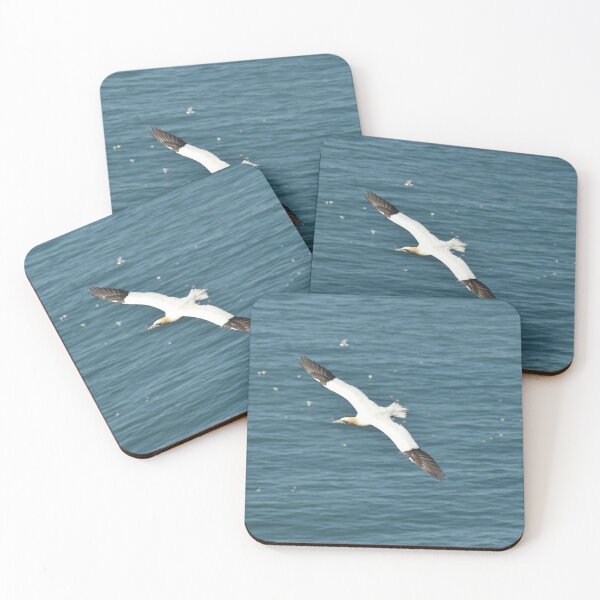 Item preview, Gannet over ocean designed and sold by Alison Stevens.