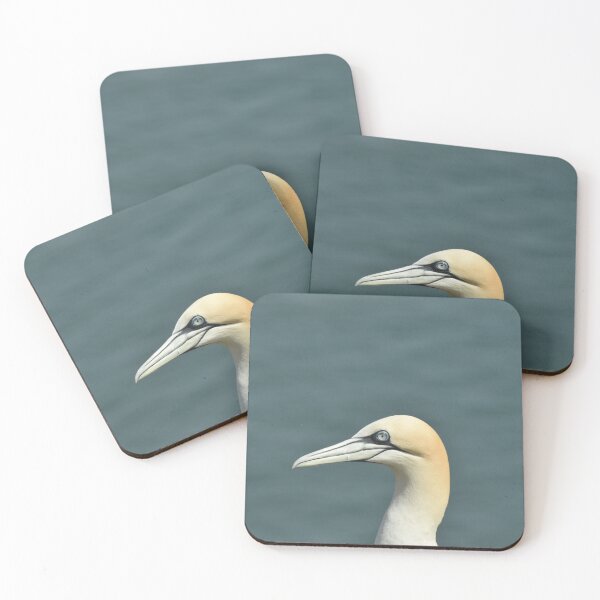 Item preview, Gannet portrait designed and sold by Alison Stevens.