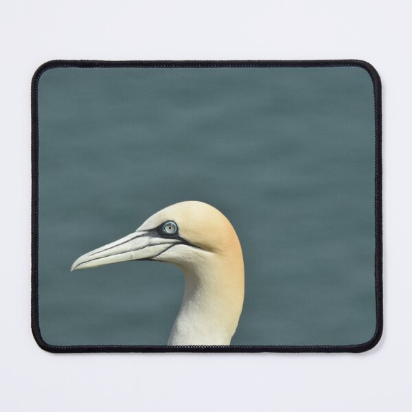 Item preview, Gannet portrait designed and sold by Alison Stevens.