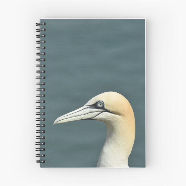 Item preview, Gannet portrait designed and sold by Alison Stevens.
