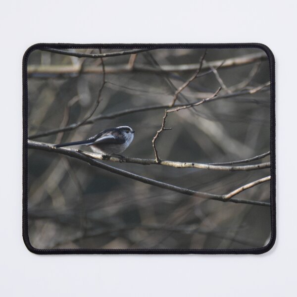 Item preview, Long-tailed tit designed and sold by Alison Stevens.