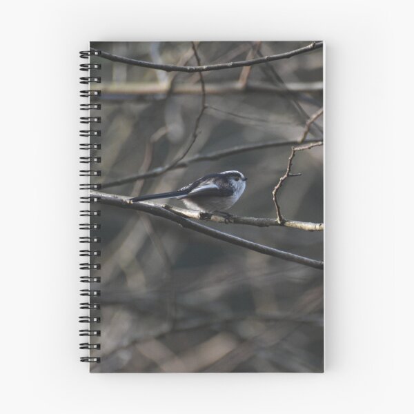 Item preview, Long-tailed tit designed and sold by Alison Stevens.