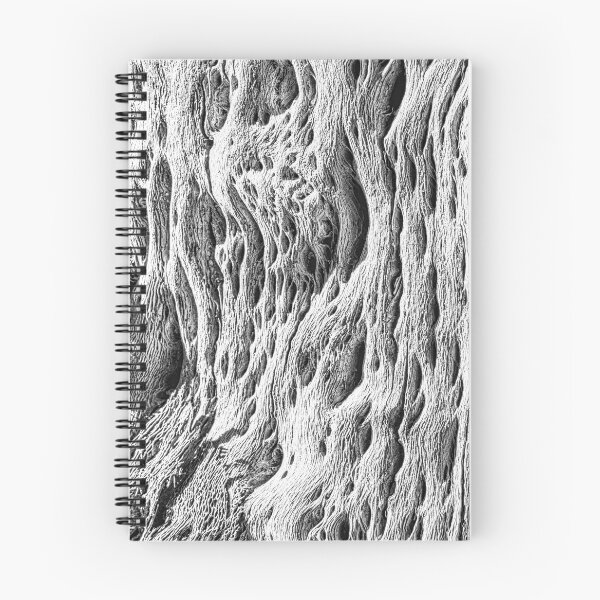 Item preview, Cactus Texture: Abstract Fibrous Pattern in Black and White designed and sold by Keltoi-art.