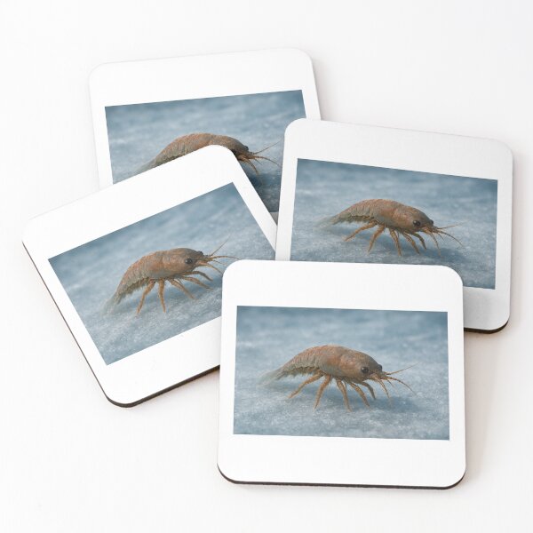 Item preview, Alien Creature in a Frozen Forest designed and sold by tomever.