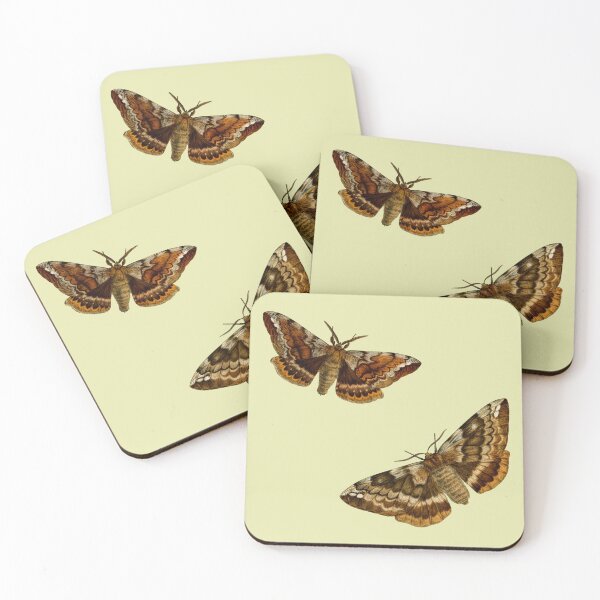 Artikelvorschau, Lepidopterologischer Druck: Motten entworfen und verkauft von Tridentulus.