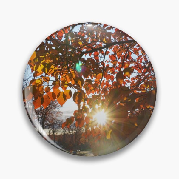Item preview, Fall Photogrpahy designed and sold by artworkbyevi.