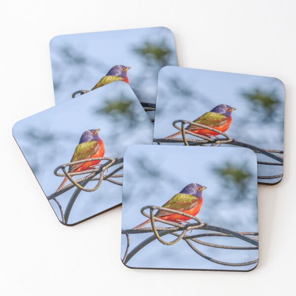 Item preview, South Carolina Painted Bunting designed and sold by MBGSL DESIGNS .