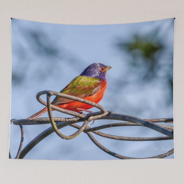 Item preview, South Carolina Painted Bunting designed and sold by MBGSL DESIGNS .