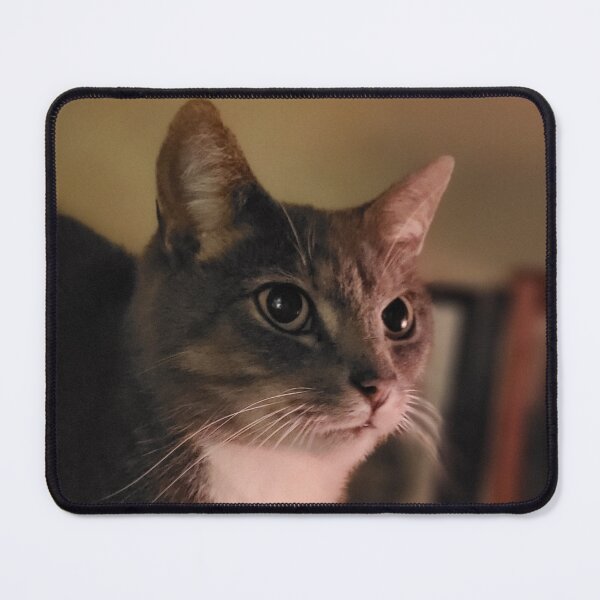 Item preview, Cat designed and sold by AnthonyThomas.