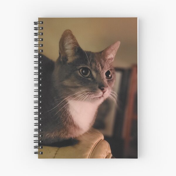 Item preview, Cat designed and sold by AnthonyThomas.
