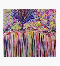 a single tree on a rainbow cliff of love Photographic Print