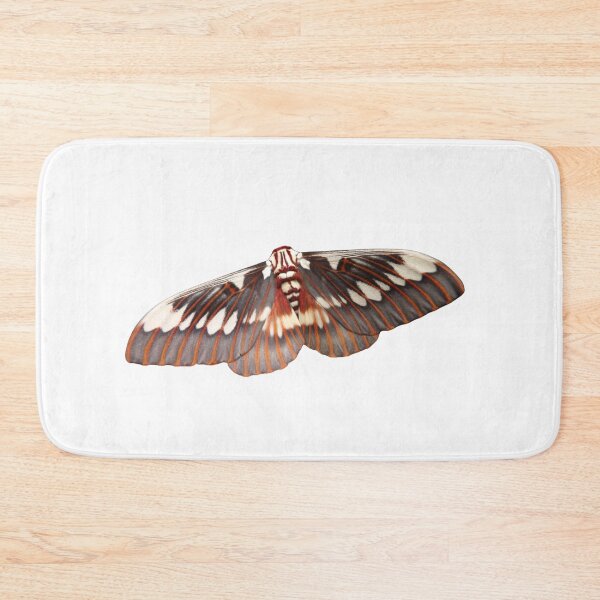 Item preview, Citheronia splendens: splendid devil moth designed and sold by Entomologist.