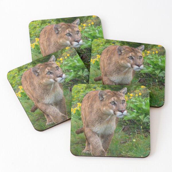 Item preview, Mountain Lion walking on Path designed and sold by Gerard Fornarotto.
