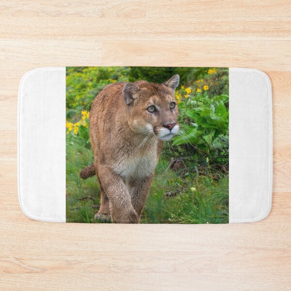 Item preview, Mountain Lion walking on Path designed and sold by Gerard Fornarotto.