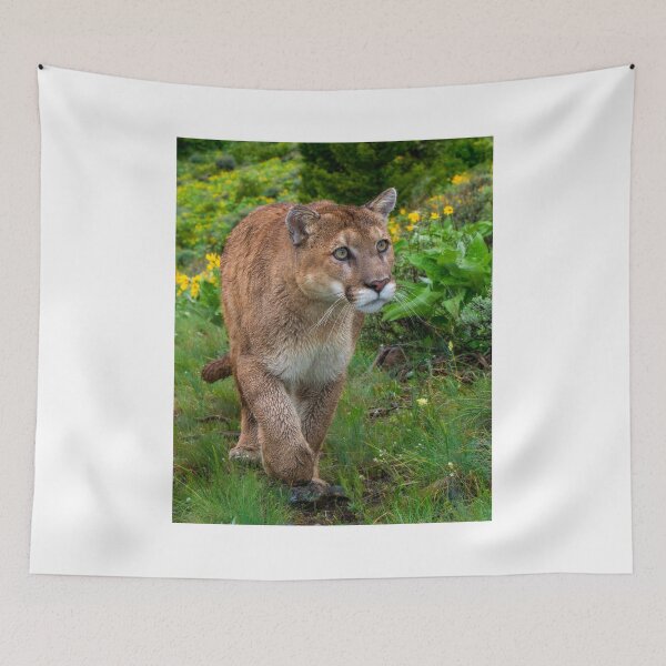 Item preview, Mountain Lion walking on Path designed and sold by Gerard Fornarotto.
