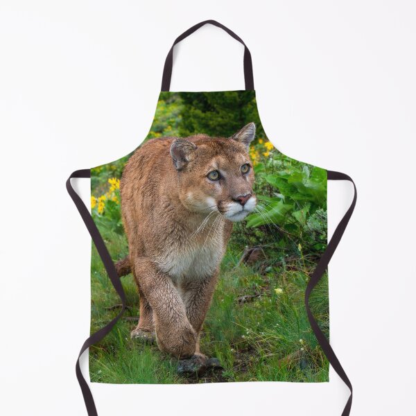 Item preview, Mountain Lion walking on Path designed and sold by Gerard Fornarotto.