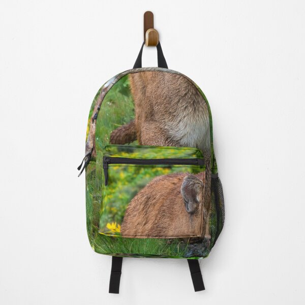 Item preview, Mountain Lion walking on Path designed and sold by Gerard Fornarotto.
