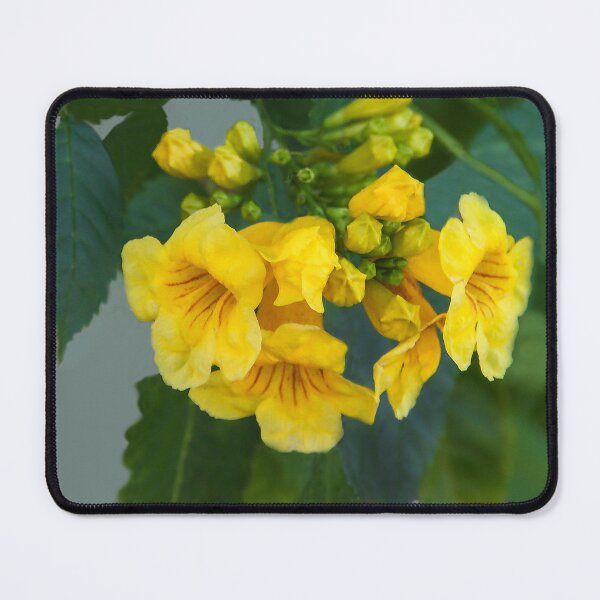 Item preview, Mellow Yellow designed and sold by heatherfriedman.
