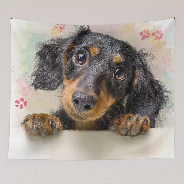 Item preview, Longhaired Dachshund Peeking over Wall 01 designed and sold by Elisabeth Lucas.